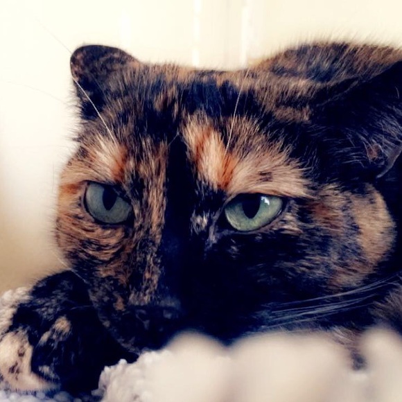 Meet your Posher, Ximena - Picture 1 of 1